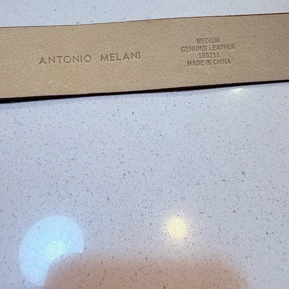 ANTONIO MELANI Brown and Gold Leather “Thick” Belt - Picture 8 of 14